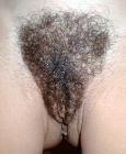 sybian schamlippenspreitzer sybian schamlippenspreitzer